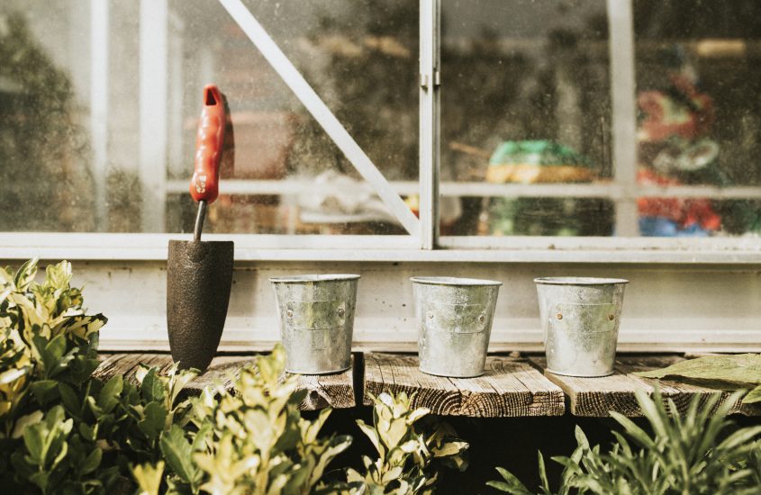 Budgetvriendelijke tuin make-over: Tips en Tricks